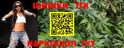 тгк Моздок